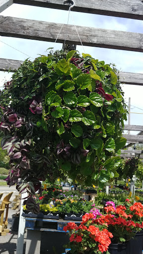 Produce Market «Iroquois Fruit Market», reviews and photos, 5405 New Cut Rd, Louisville, KY 40214, USA