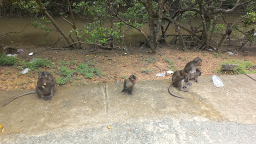 Top 20 cửa hàng play Huyện Cần Giờ Hồ Chí Minh 2022