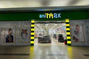 Animax & Punct farmaceutic veterinar image