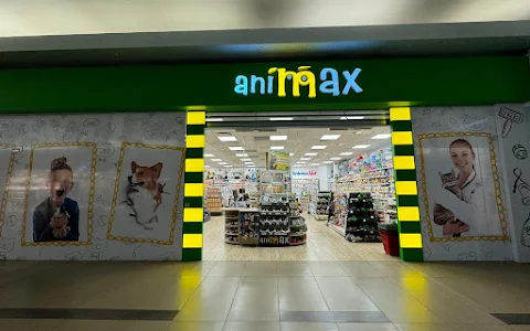 Animax & Punct farmaceutic veterinar image