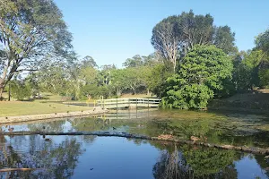 Caboolture Arboretum image