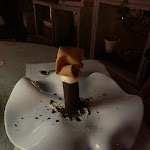 Photo n°1 de l'avis de giovanna.h fait le 05/09/2022 à 07:29 sur le  Indaco à Riccione