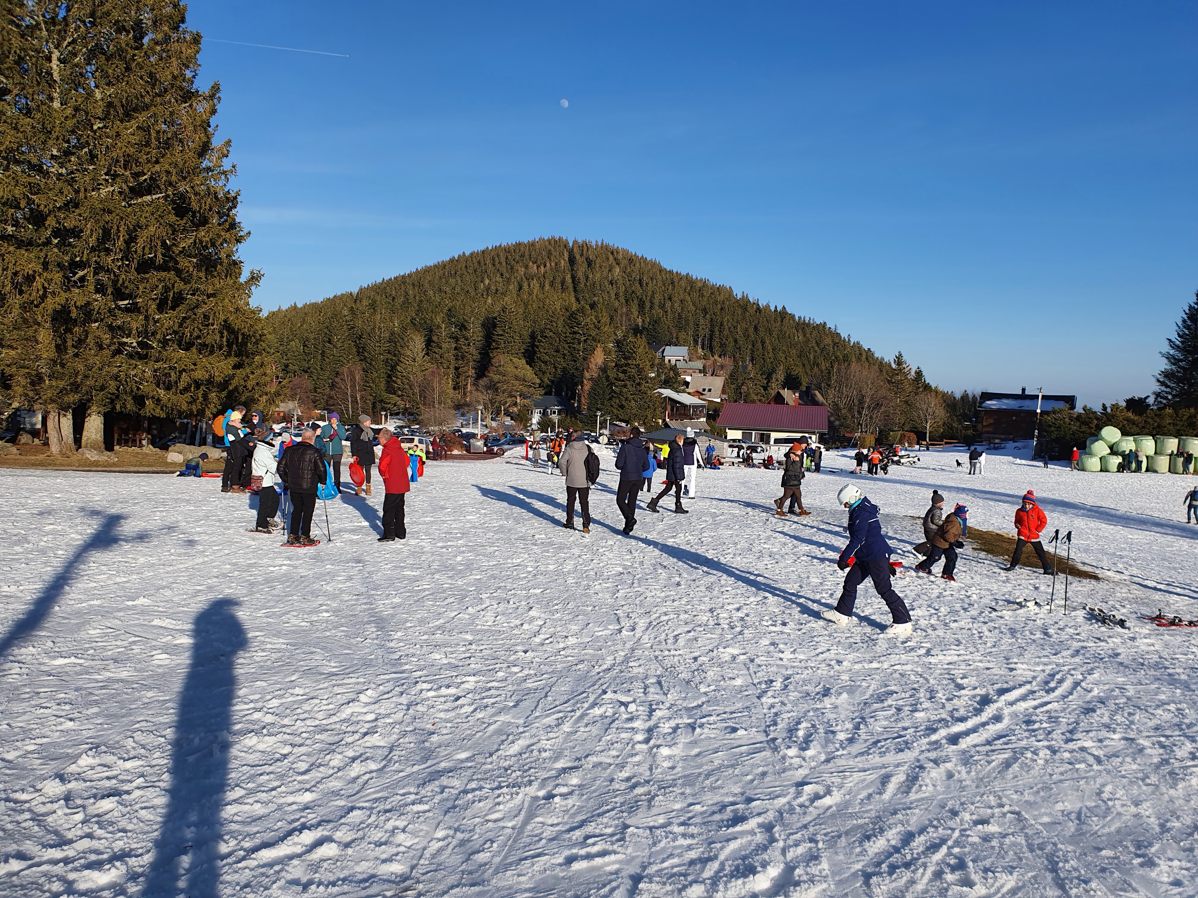 Photo n° 2 de l'avis de S. fait le 13/02/2022 à 16:21