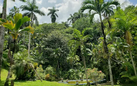 Castleton Botanical Gardens image