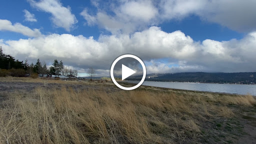 Big Bear Visitor Center - Visit Big Bear image