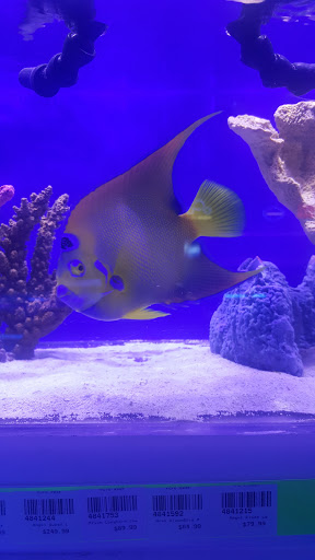 Tropical Fish Store «Pure Reef», reviews and photos, 12900 GA-9, Alpharetta, GA 30004, USA