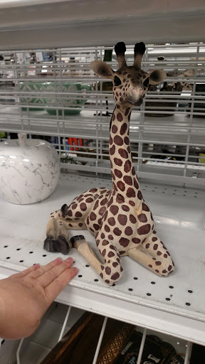 Clothing Store «Ross Dress for Less», reviews and photos, 767 W Grassland Dr, American Fork, UT 84003, USA