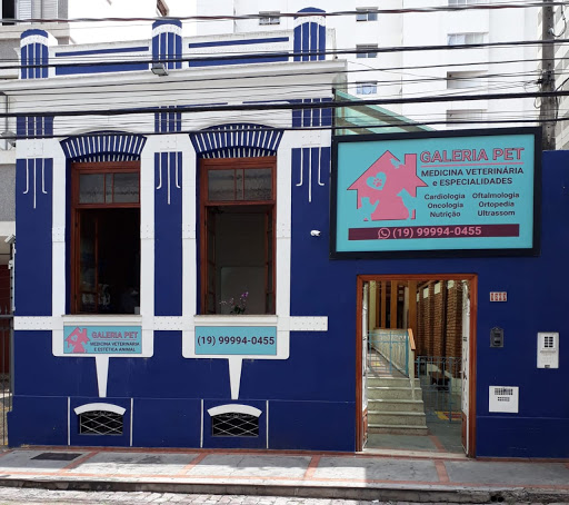 Galeria Pet em Campinas - SP