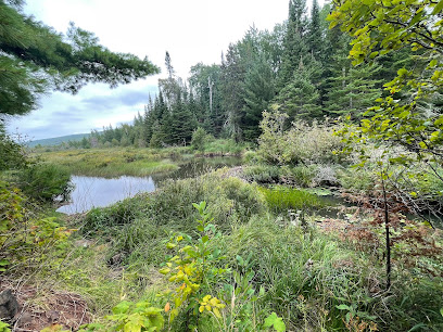 Upson Lake Nature Sanctuary
