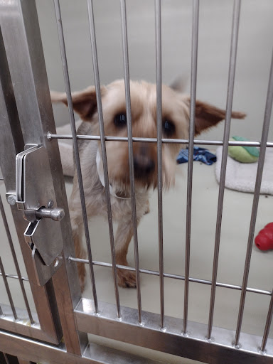 Pet Supply Store «PetSmart», reviews and photos, 3111 111th St, Naperville, IL 60564, USA