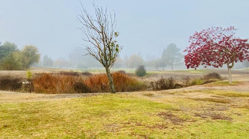 Golf Course «Sunnyvale Golf Course», reviews and photos, 605 Macara Ave, Sunnyvale, CA 94085, USA