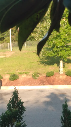 Coffee Shop «Starbucks», reviews and photos, 1701 E 9 Mile Rd, Pensacola, FL 32514, USA