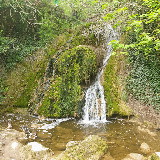 Leixlip Waterfall