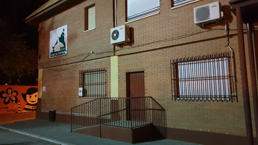 Colegio Público Conde Campillos, Institución educativa pública en Cehegín,Murcia