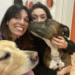 Photo n°4 de l'avis de morena.e fait le 06/03/2022 à 16:45 sur le  Osteria Annalisa à Cafaggio