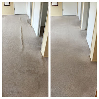 Top Dog Carpet Cleaning - Photo 1 - Car repair in , Eugene