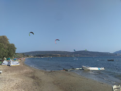 Paralia Gialova'in fotoğrafı ve yerleşim