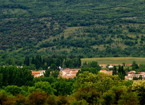 El Refugio de la Sauca en Alameda del Valle
