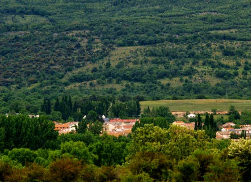 El Refugio de la Sauca