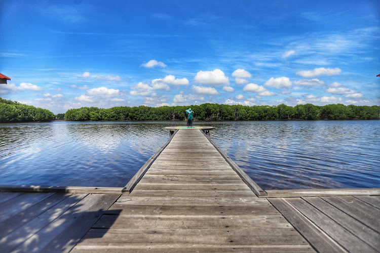 Bontang Mangrove Park