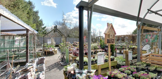 Reviews of Elmwood Nursery & Garden Centre in Bristol - Landscaper