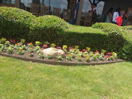 American Restaurant «Cracker Barrel Old Country Store», reviews and photos, 5304 N Galloway Ave, Mesquite, TX 75150, USA