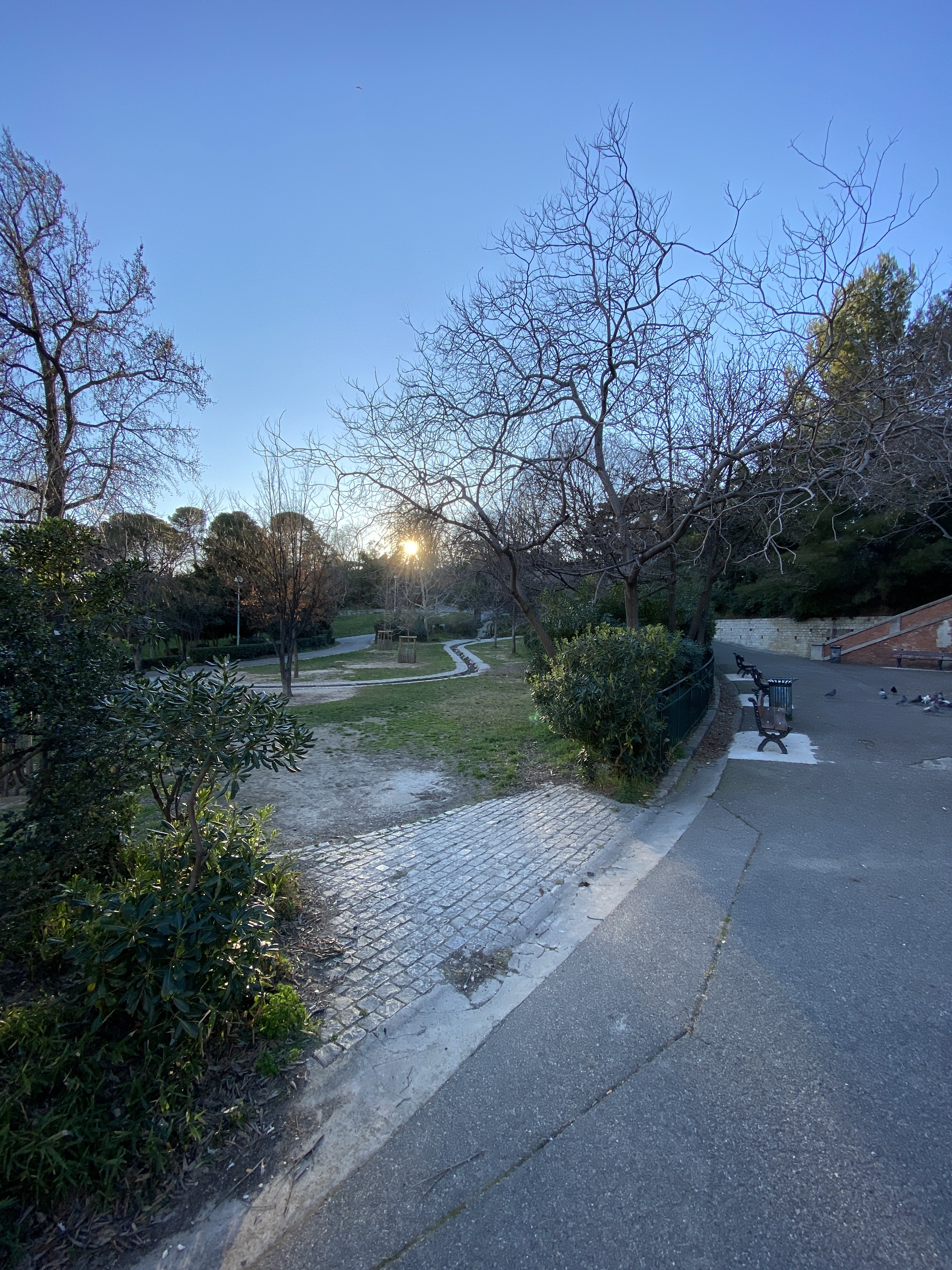 Photo n° 11 de l'avis de Georges.E fait le 24/02/2020 à 06:11