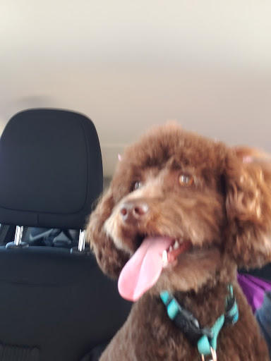 Pet Supply Store «PetSmart», reviews and photos, 8014 Old Carriage Ct, Shakopee, MN 55379, USA