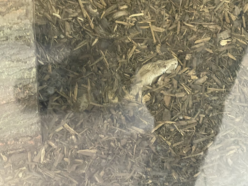 Pet Supply Store «College Greens Pet Center», reviews and photos, 3311 Julliard Dr # A, Sacramento, CA 95826, USA