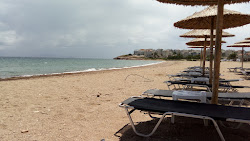 Paralia Rafinas Port'in fotoğrafı imkanlar alanı