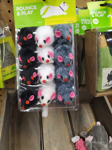 Pet Supply Store «Petco Animal Supplies», reviews and photos, 190 Quality Dr, Hooksett, NH 03106, USA