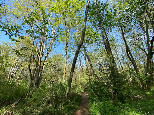 Wolf Tree Nature Area