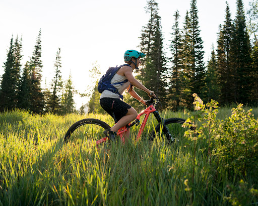 Bicycle Store «Fezzari», reviews and photos, 850 W 200 S, Lindon, UT 84042, USA