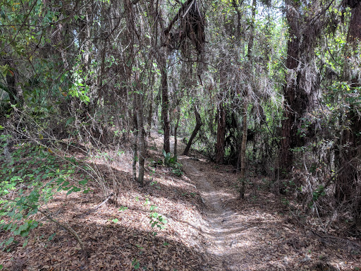 Recreation Center «Balm Park Recreation Center», reviews and photos, 14747 Balm Wimauma Rd, Wimauma, FL 33598, USA