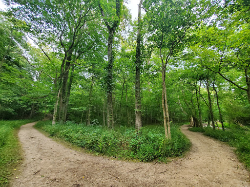 Nature Preserve «Sweet Arrow Reserve», reviews and photos, 789 Little Sugarcreek Rd, Sugarcreek Township, OH 45440, USA