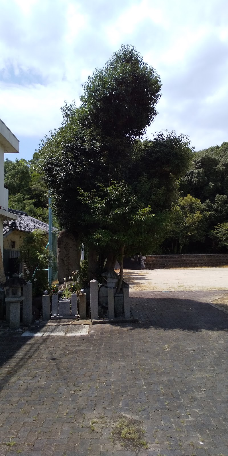 坂田庄三郎の墓