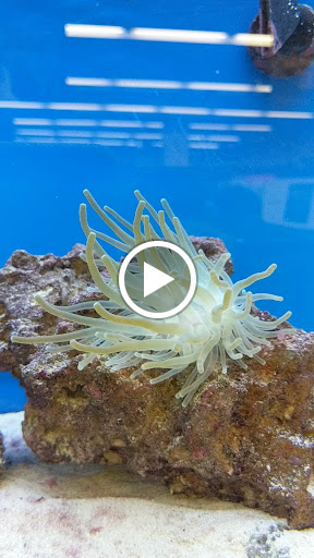 Pet Supply Store «Petco Animal Supplies», reviews and photos, 1121 5th St, Miami Beach, FL 33139, USA