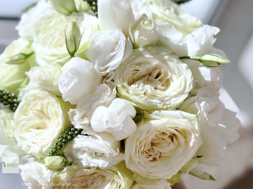 Florist «Phoebe Floral Shop», reviews and photos, 2102 Hamilton St, Allentown, PA 18104, USA