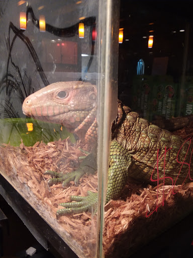 Reptile Store «Cleveland Reptile Show», reviews and photos, 17250 Hummel Rd, Brook Park, OH 44142, USA