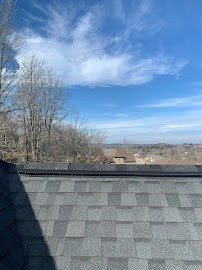 Alpha Wildlife Nashville - Photo 7 - Car repair in Nashville, TN, Nashville