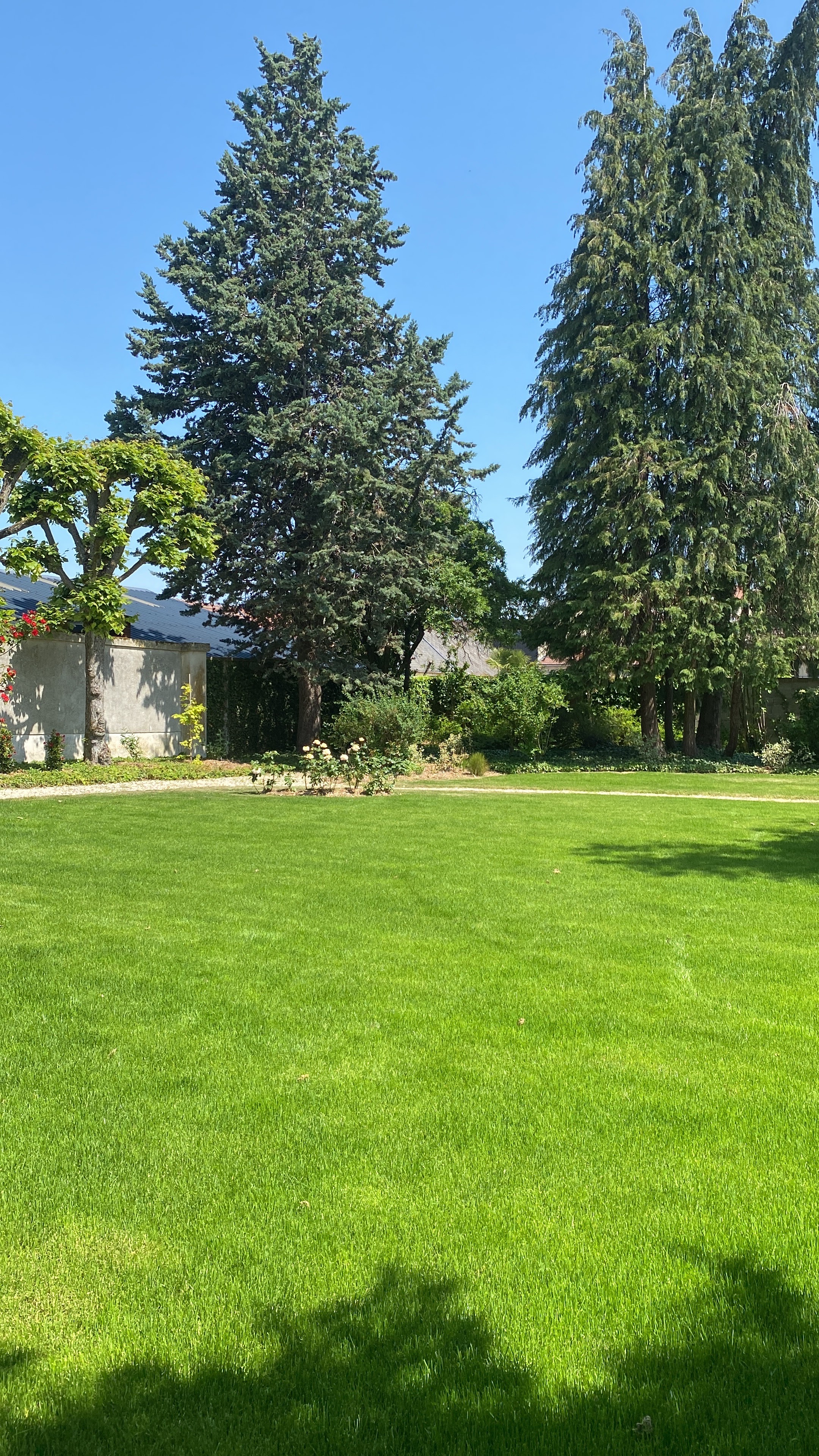 Photo n° 2 de l'avis de Evy.o fait le 30/05/2023 à 08:17