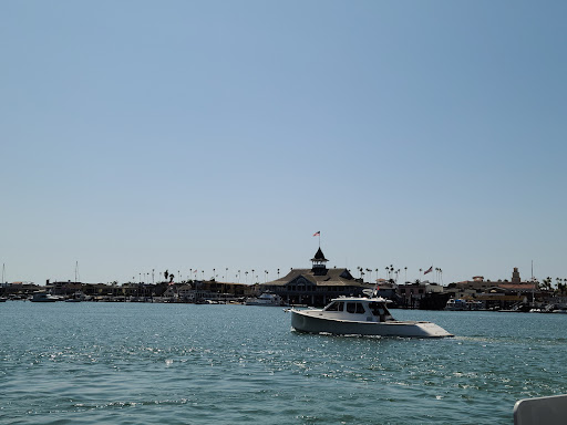 Grocery Store «Island Market», reviews and photos, 500 S Bay Front # A, Newport Beach, CA 92662, USA