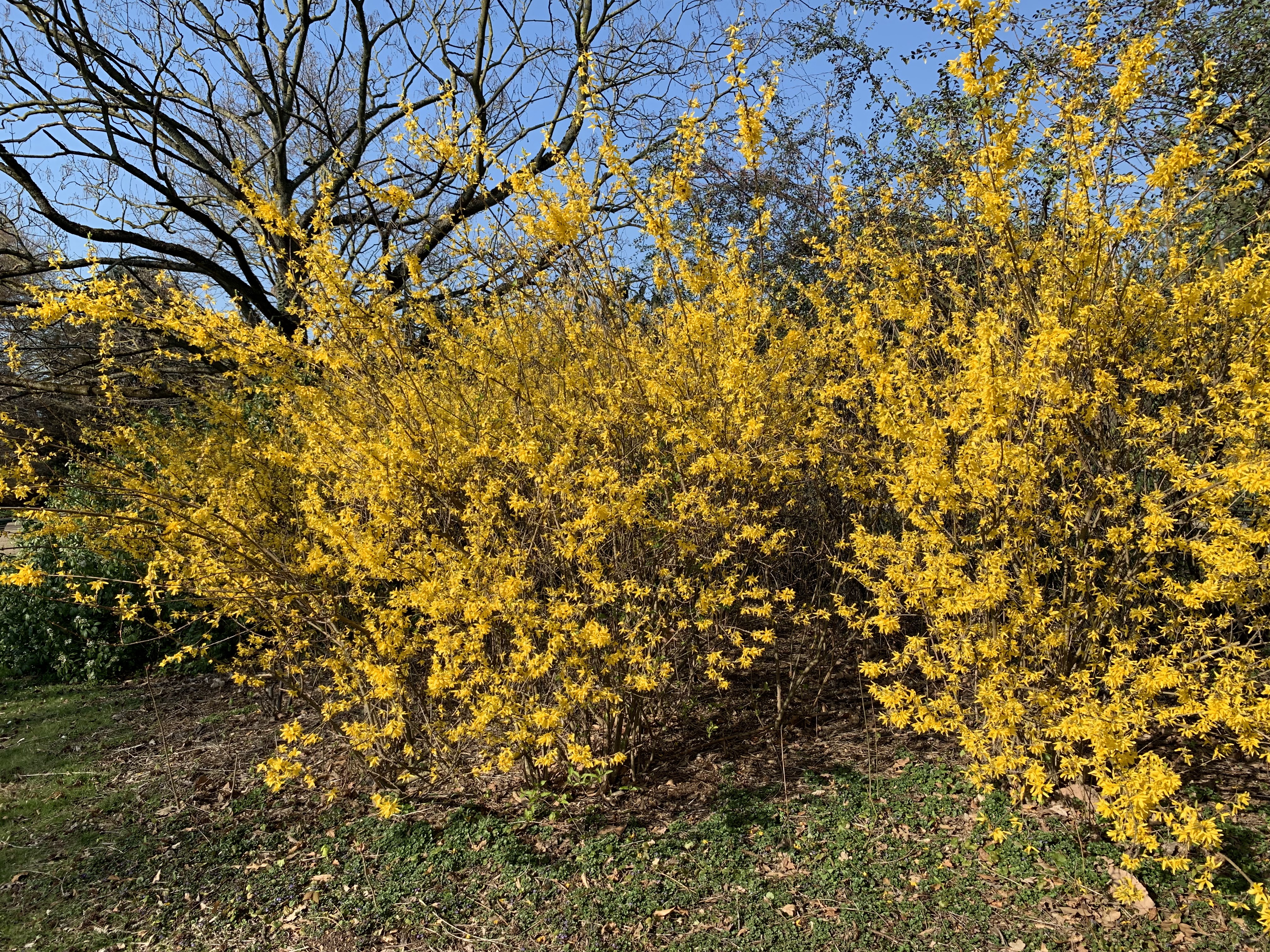 Photo n° 7 de l'avis de Huynh.h fait le 22/03/2019 à 19:10