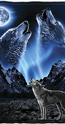 625 N 1st St, Woodburn, OR 97071, USA