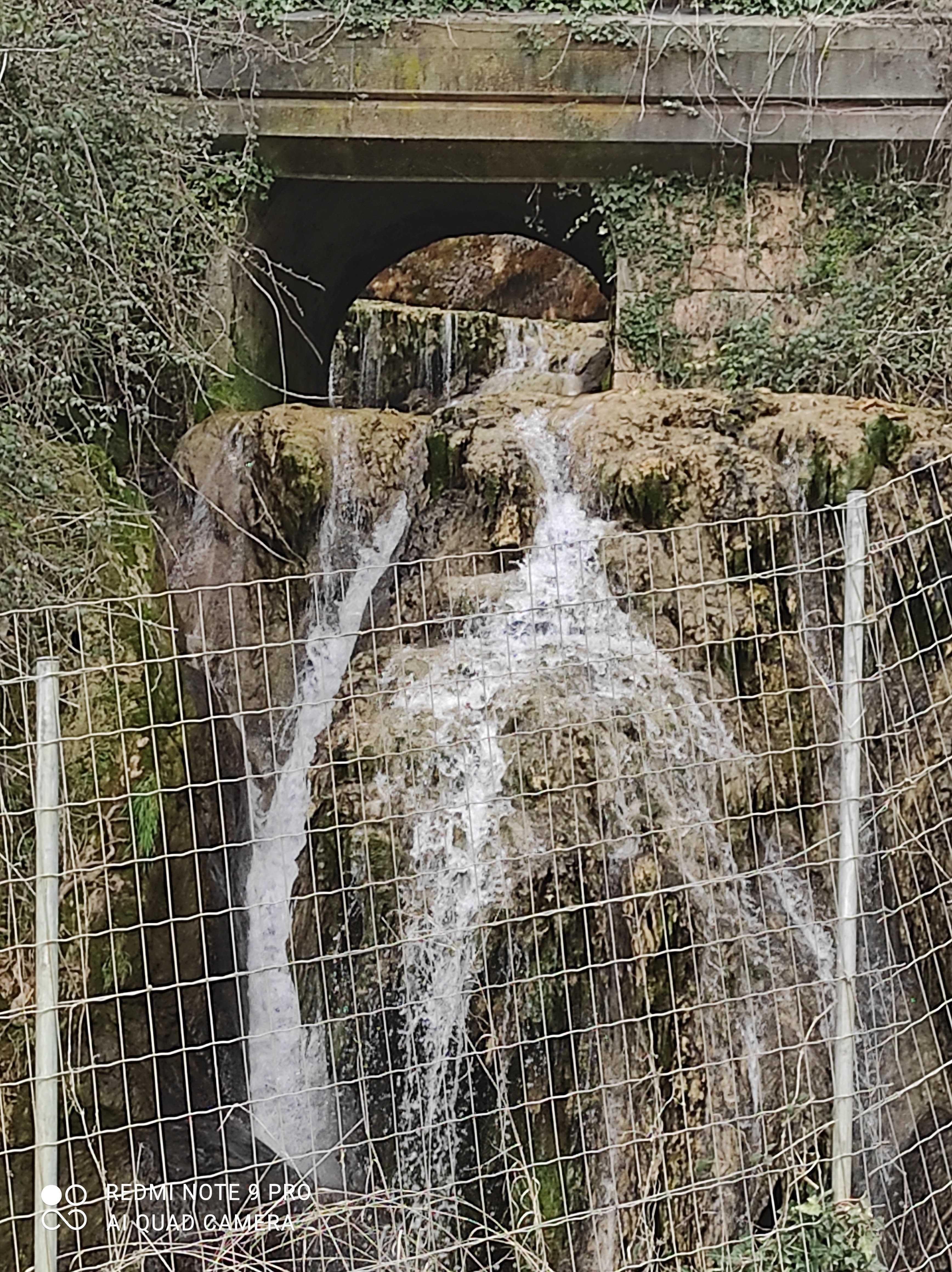 Photo n° 8 de l'avis de Estelle.i fait le 20/03/2022 à 15:07