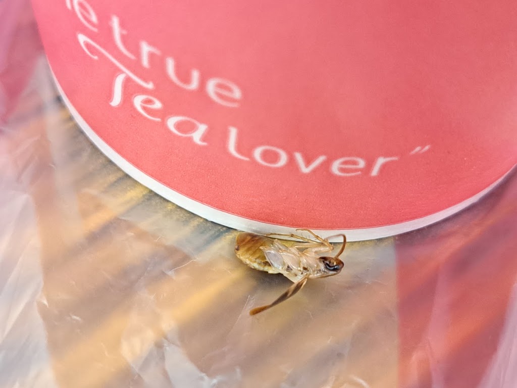 清心福全埔頂店-珍珠奶茶手搖飲料專賣店 的照片