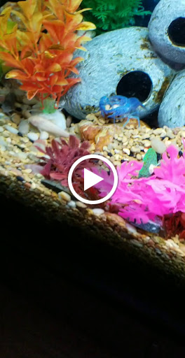 Pet Supply Store «Petco Animal Supplies», reviews and photos, 1255 Raritan Rd #140, Clark, NJ 07066, USA