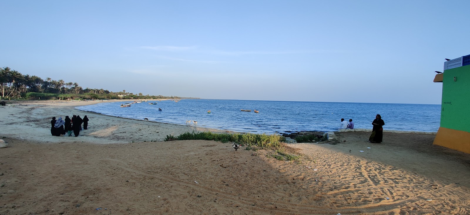 Pakkirapa Sea Park Beach的照片 具有部分干净级别的清洁度