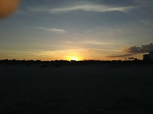 Lori Wilson Park - photo 20
