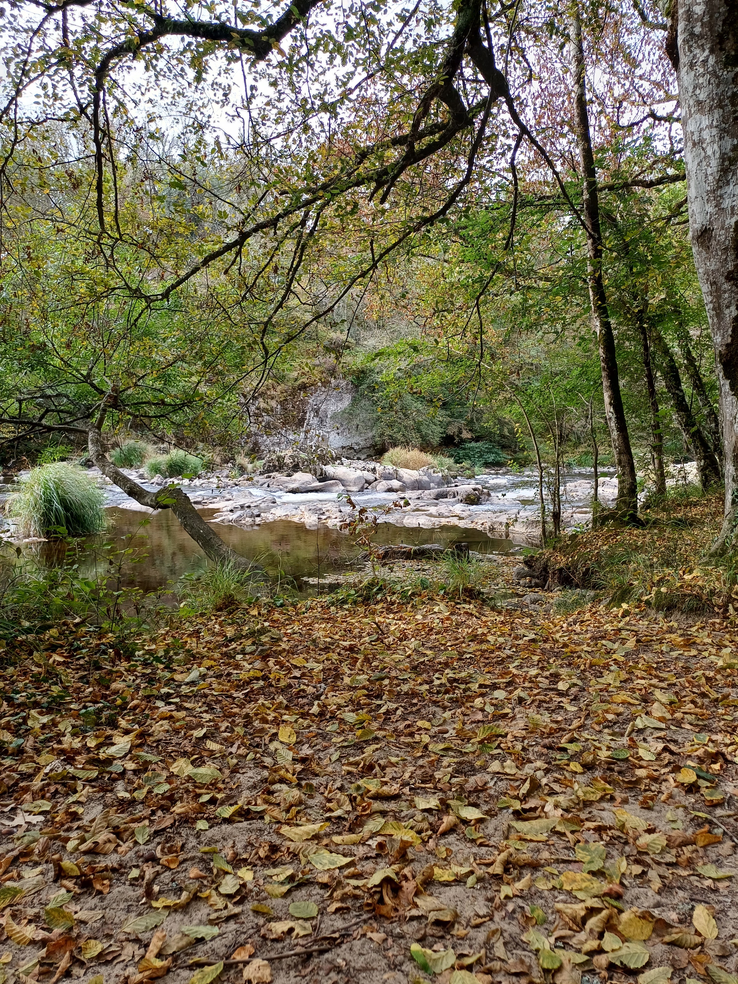 Photo n° 5 de l'avis de Philippe.a fait le 19/09/2023 à 15:29